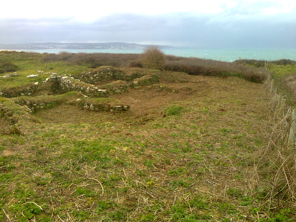 Brushcutting at Crane Godrevy area B