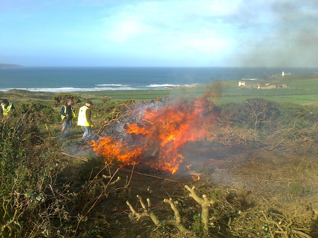 Friends of the Towans - volunteer practical conservation A